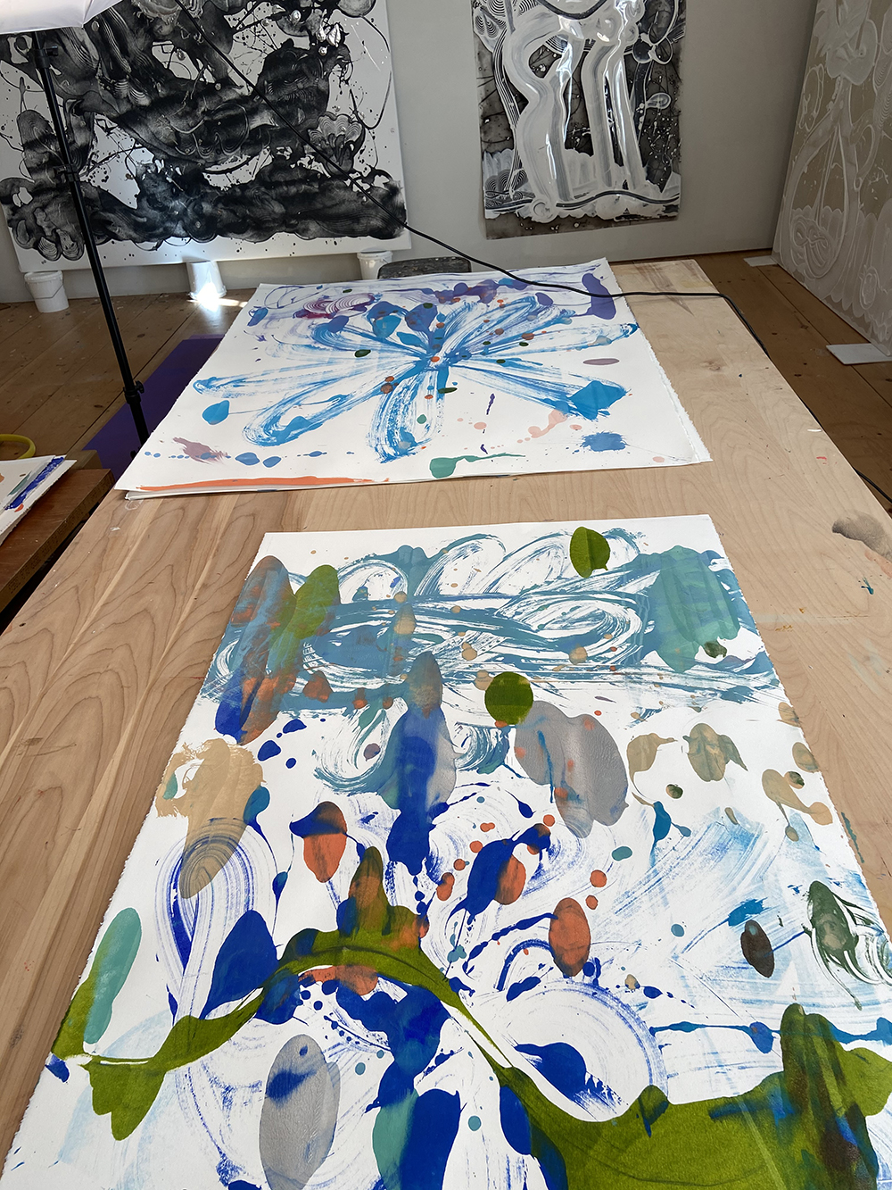 Catherine Howe studio: monotypes in progress 3