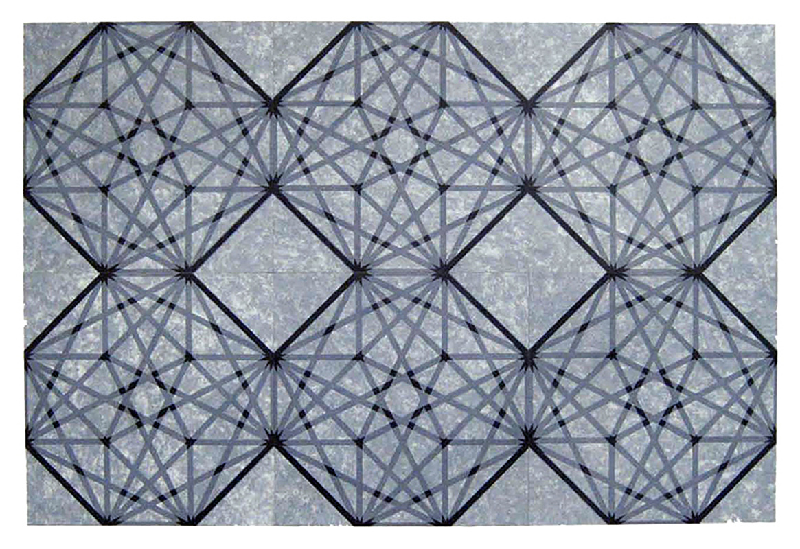 "Contained Element 6X6 #2", 2009. Woodcut and chine colle', edition of 5. Image: 30"x 45", paper: 36" x 51".