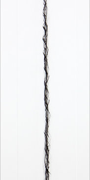 "Helices lV", 2003-11. Drypoint, edition of 8. Image: 21" x 6", paper: 31 ½" x 12".