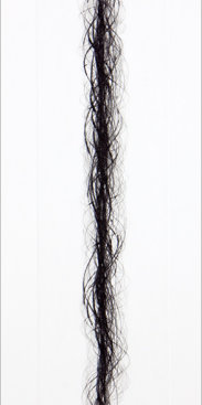 "Helices lll", 2003-11. Drypoint, edition of 8. Image: 21" x 6", paper: 31 ½" x 12".