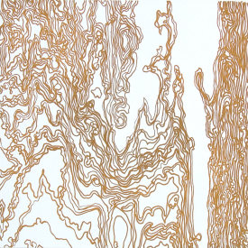 "Wood Drip ll", 2007.  Photo-etching, edition of 10. Image size: 16" x 16", paper size: 22" x 22".