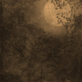 "Nocturnal Landscape 1119", 2016. Photograph printed on Hahnemühle Rice Paper, mounted to Stonehenge paper. 22" x 18", edition of 3.
