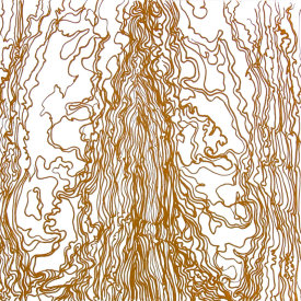 "Wood Drip lll", 2007.  Photo-etching, edition of 10. Image size: 16" x 16", paper size: 22" x 22".