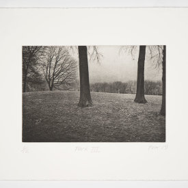 "Park III", 2019. Photogravure, edition of 12. Image size: 8" x 12", sheet size: 14" x 18"