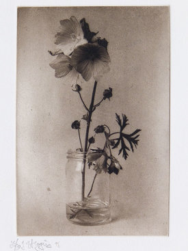 "Untitled", 1996. Photogravure, edition of 20. Image: 6 ⅛" x 4 ⅛", paper: 8 ½" x 6".