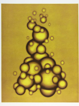 "Orb Cluster 1 (yellow/brown)", 2003.  Photogravure and relief. Image: 28" x 22 ¼", paper: 35" x 29 ¼". Edition of 6.