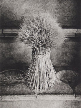 "Sheaf", 2016. Photogravure, edition of 12. Image: 12" x 8", paper: 18" x 14".