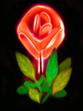 "Frontal Rose", 2023. Archival pigment print on aluminum, 48" x 34".